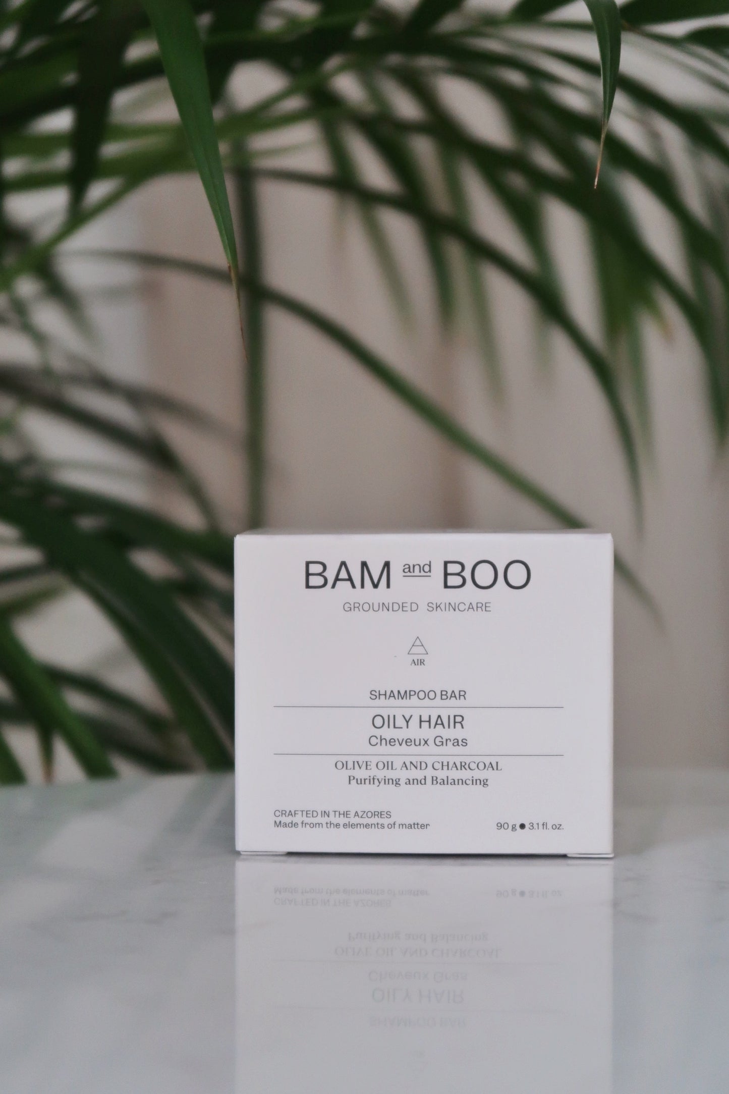 Shampoing Solide pour Cheveux gras